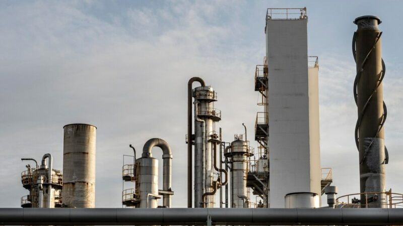 В Краснодаре в 2025 году господдержка промышленных предприятий выросла на 10%