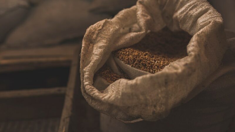 В Азовском порту построят перевалочный комплекс зерновых культур за 3,3 млрд руб.