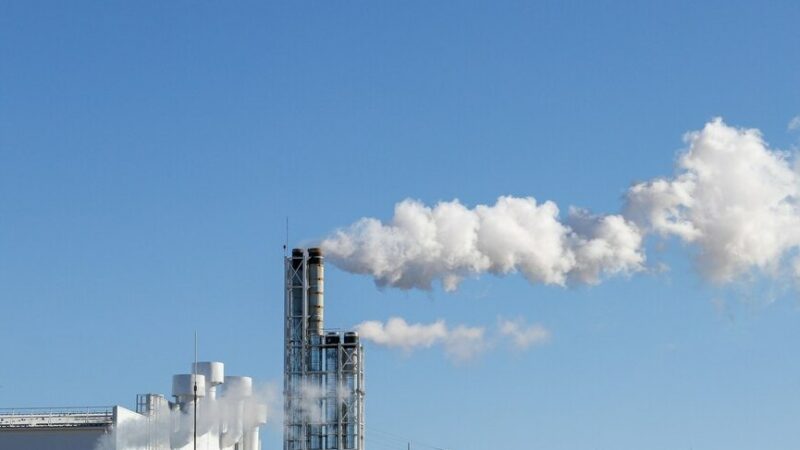 На Кубани в 2023 году выбросы вредных веществ в атмосферу выросли незначительно