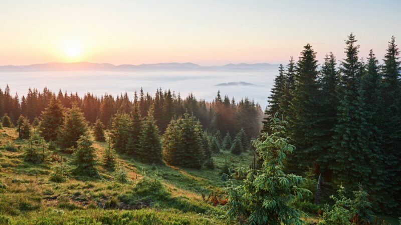 Заповедник «Утриш» приостановил пешие экскурсии из-за пожарной опасности