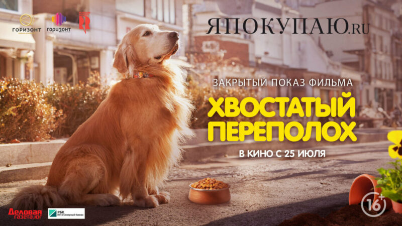 ЯПокупаю.ру проведет в Ростове-на-Дону акцию в поддержку бездомных животных