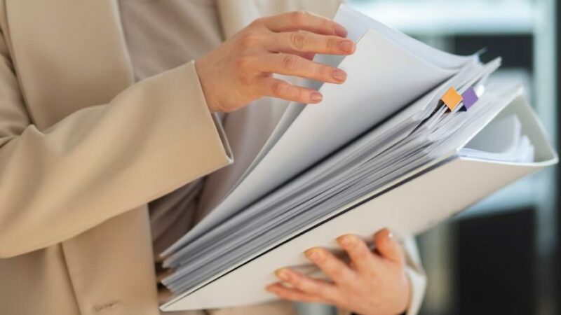 Какие законы вступят в силу в августе 2024 года