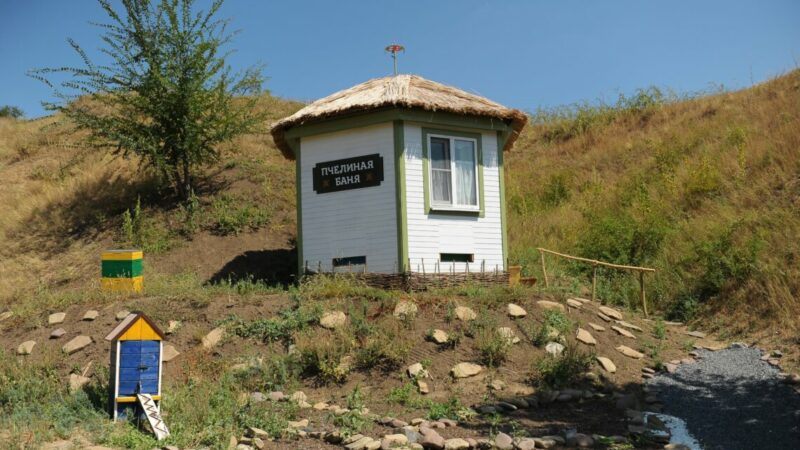 «Там так будет жужжать!»: как заработать на домиках с пчелиными ульями