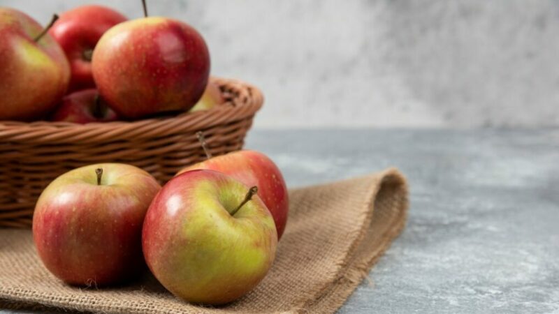 На Кубани собрали более 27 тыс. тонн фруктов и ягод в 2024 году