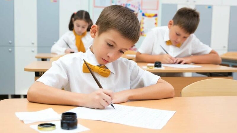 Уникальный подход: особенности работы частной школы