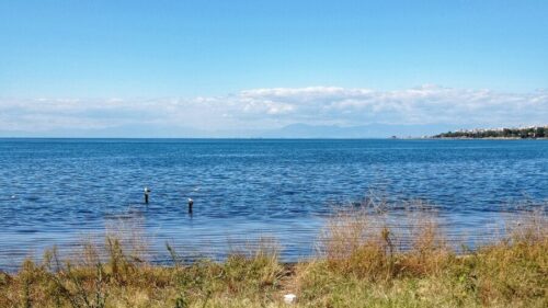 Дорожная карта кубанского Приазовья будет готова осенью 2024 года