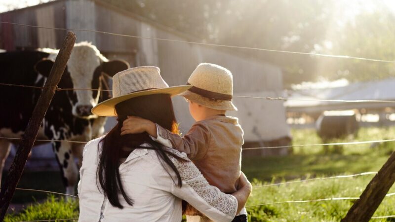 В минсельхозе Ростовской области намерены развивать агротуризм с помощью грантов