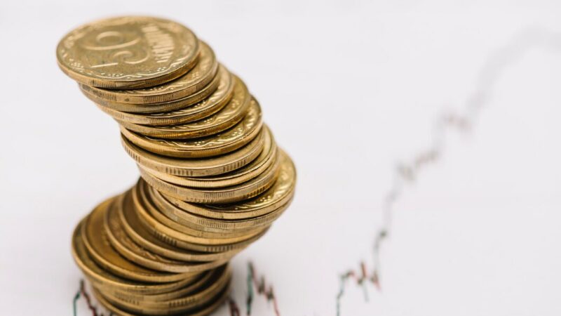 На Дону повысили возраст детей для признания семьи многодетной при получении жилищных льгот