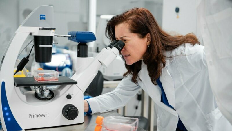 В Госдуме предложили создать аналоги «Сириуса» во всех федеральных округах РФ