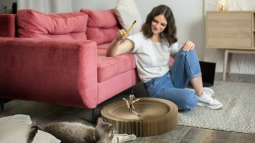 На Дону в июле спрос на посуточную аренду квартир с питомцами вырос на 22%