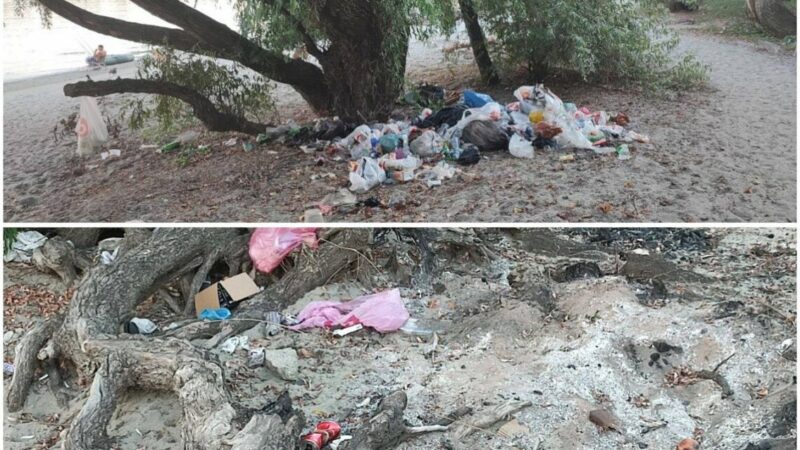 Мэр Краснодара поручил привести в порядок песчаные пляжи у реки Кубань