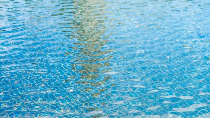 Количество происшествий на воде в Ростовской области снизилось на 25%