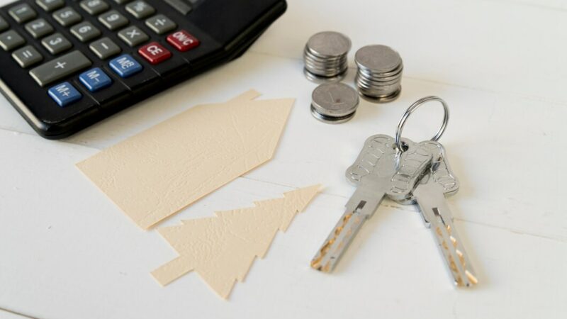 Профессор МГУ: льготная ипотека поддержит цены на вторичное жилье на Юге РФ