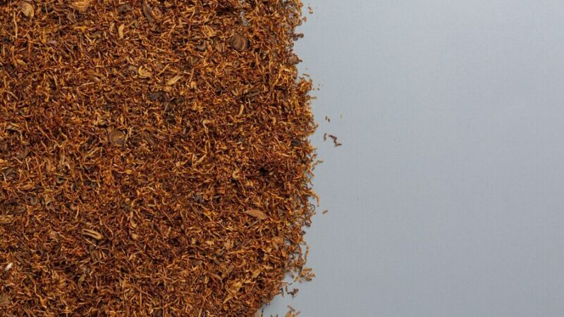 В Новороссийске пресекли экспорт контрабандных сигарет на 15 млн рублей