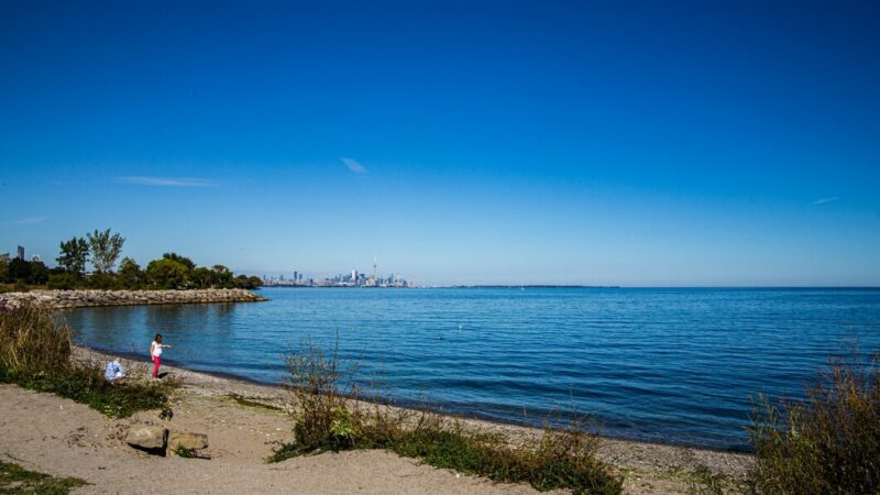 Перевозки на «Валдаях» в Семикаракорск и Багаевскую запустили на Дону