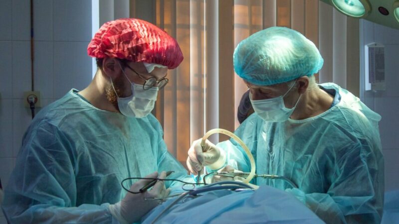 Объем экспорта медицинских услуг на Кубани за 6 лет вырос в 2,5 раза