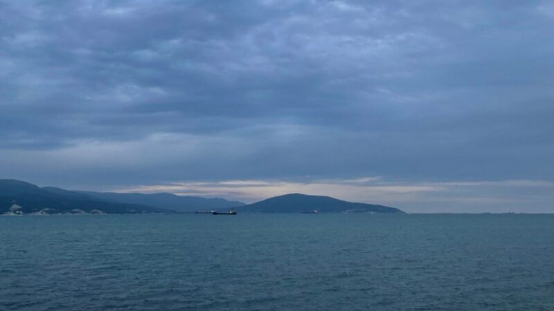 Вылов хамсы в Азово-Черноморском бассейне в 2024 году вырос почти на 20%