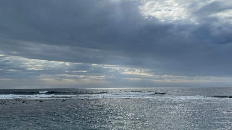 Для Черного моря разрабатывают систему долгосрочного мониторинга экологии