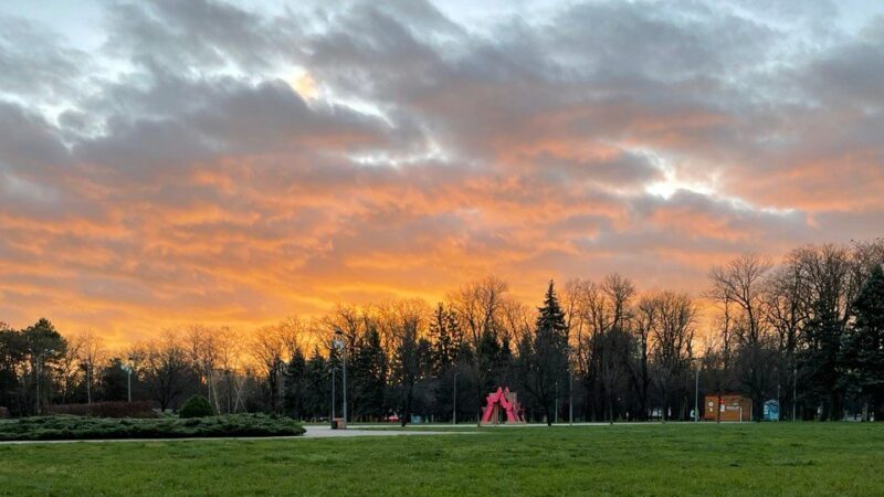 Застройщики района Кумженской рощи на Дону не заключили договоры с властями