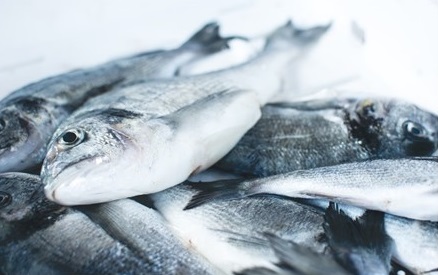 Ущерб водным биоресурсам от разлива мазута оценили в 2,5 млрд рублей