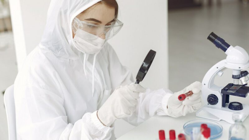 Средняя стоимость общего анализа крови на Кубани в 2025 г. выросла на 11%