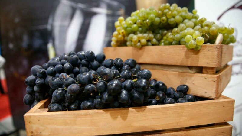 В «Кубанской ярмарке» примут участие более 900 фермеров