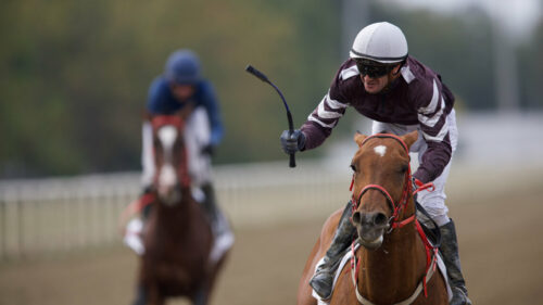 Закрытие скакового сезона на Краснодарском ипподроме