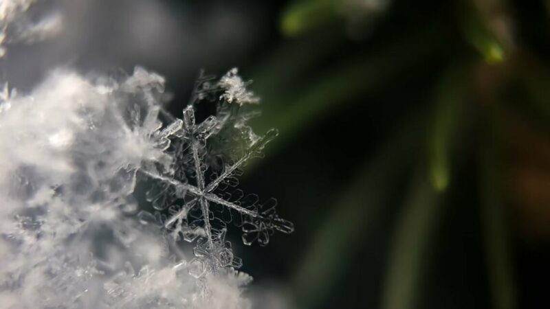 На Кубани прогнозируют дождь со снегом