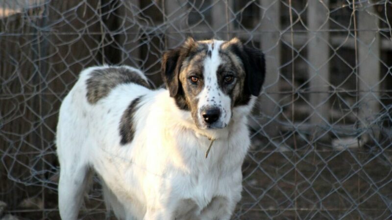 Таганрог потратит на украшение облика города в 1,5 раза чем в 2025 г.