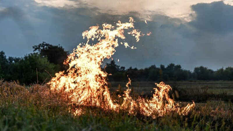 На Дону пожароопасный сезон объявили с 6 апреля