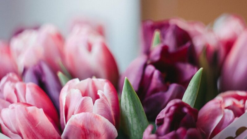 На Дону букет цветов ко Дню учителя подорожал на 15%