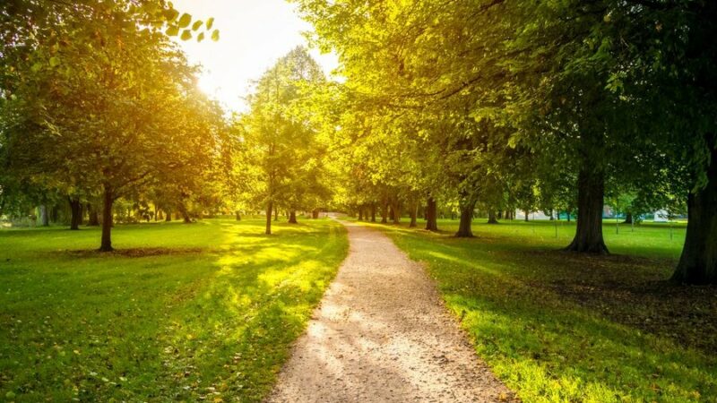 Юрий Слюсарь поручил не затягивать с реконструкцией парка Горького в Ростове