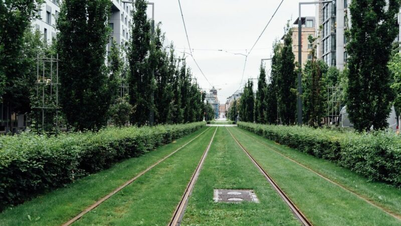 В Ростове этап строительства трамвайных путей подорожал более чем в два раза