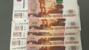 Мнение: отказ Сбера от льготных кредитов не повлияет на ситуацию АПК Юга