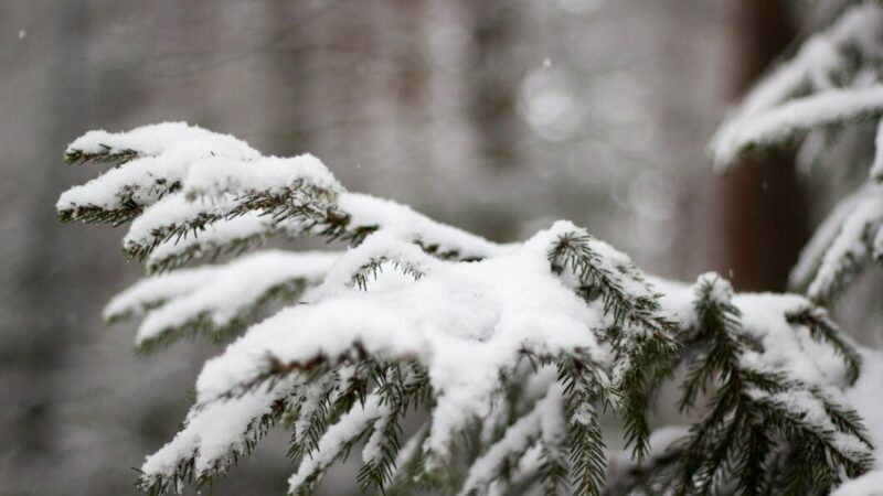 Климатолог пообещал жителям Дона снег 3 ноября