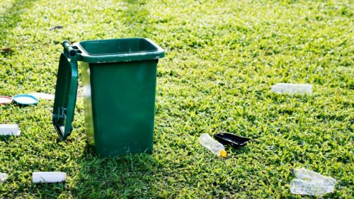 На Дону оштрафовали «серых возчиков» мусора больше чем на полмиллиона