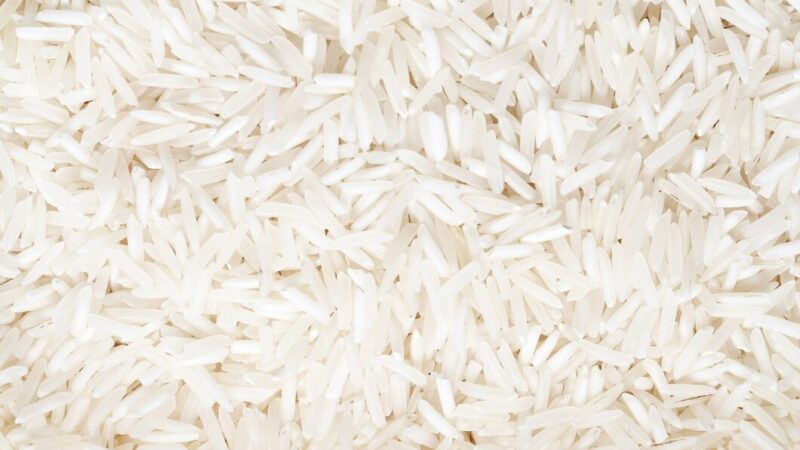 Урожай риса на Кубани в 2024 году вырос на 10%