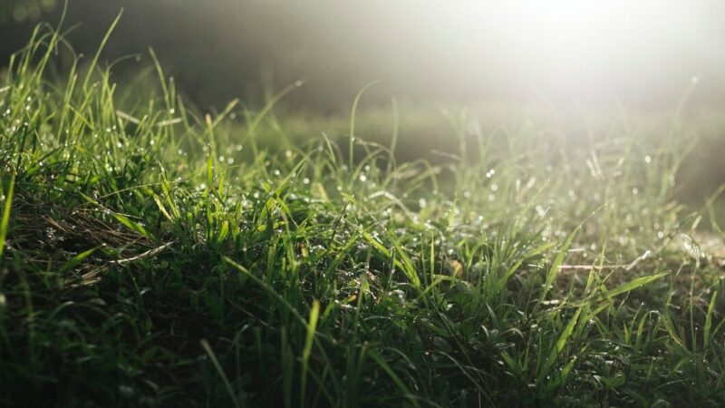 Обломки беспилотника обнаружили в Красноармейском районе Кубани