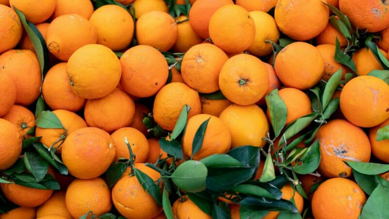 Стоимость мандаринов на Дону выросла на 20% в 2024г.
