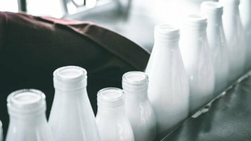 На Кубани в 2025 году молоко подорожало на 16%