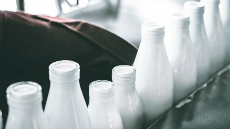 На Дону сняли ограничения на вывоз молока и животноводческой продукции