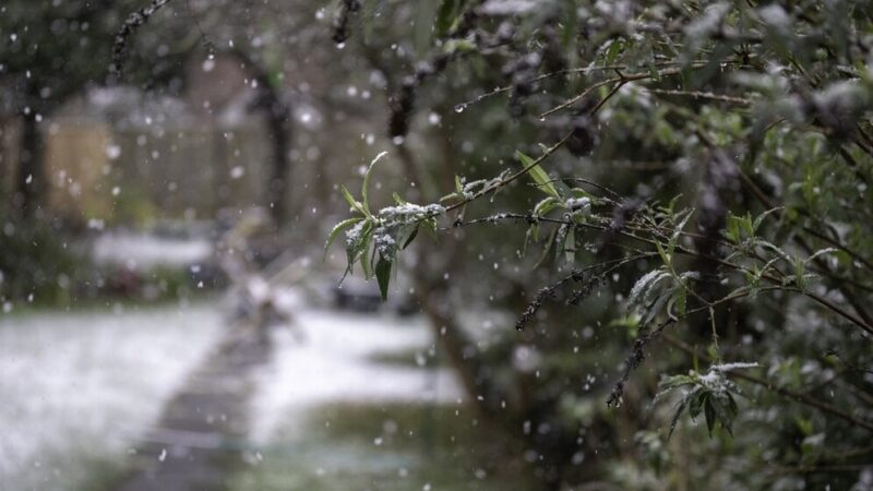 Ростовчан предупредили о возможных авариях из-за снега после 2 ноября