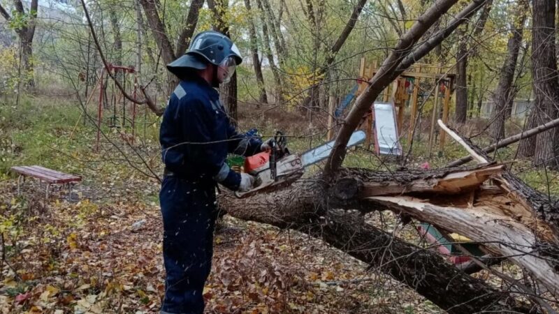 В Ростове-на-Дону сильный ветер стал причиной 46 происшествий