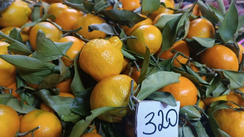Импорт мандаринов в Ростовскую область сократился на 23% в 2024г.