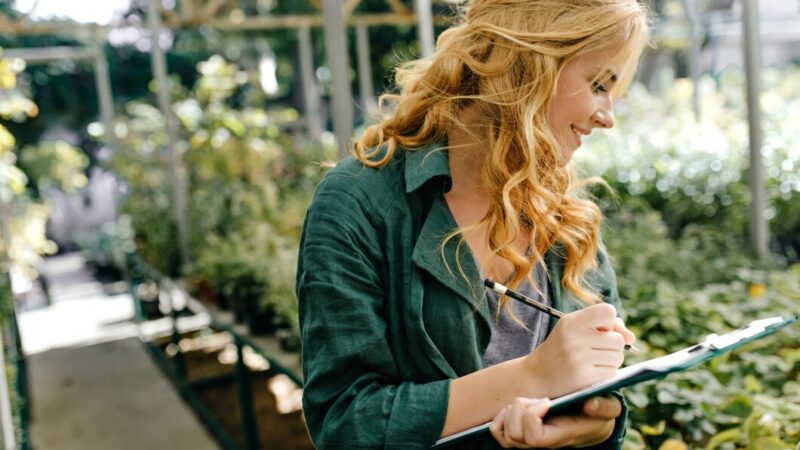 Бухгалтерия для фермера: как вести отчетность