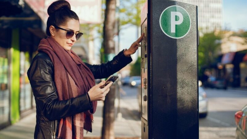 Поступления в бюджет Ростова за парковки увеличились почти вдвое за 11 месяцев 2024г.