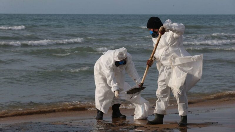 Мнение: Сейчас делают все возможное для ликвидации последствий разлива мазута