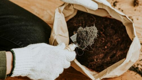 На Кубани в 2025 году импорт удобрений вырос на 14,2%