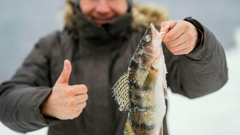 Особенности зимней рыбалки: где поймать «хищника» в Ростовской области с января по февраль