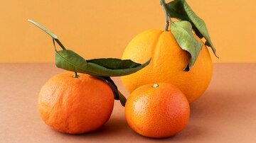 ТАСС: Спрос на мандарины в Ростовской области вырос на 26% в 2024г.